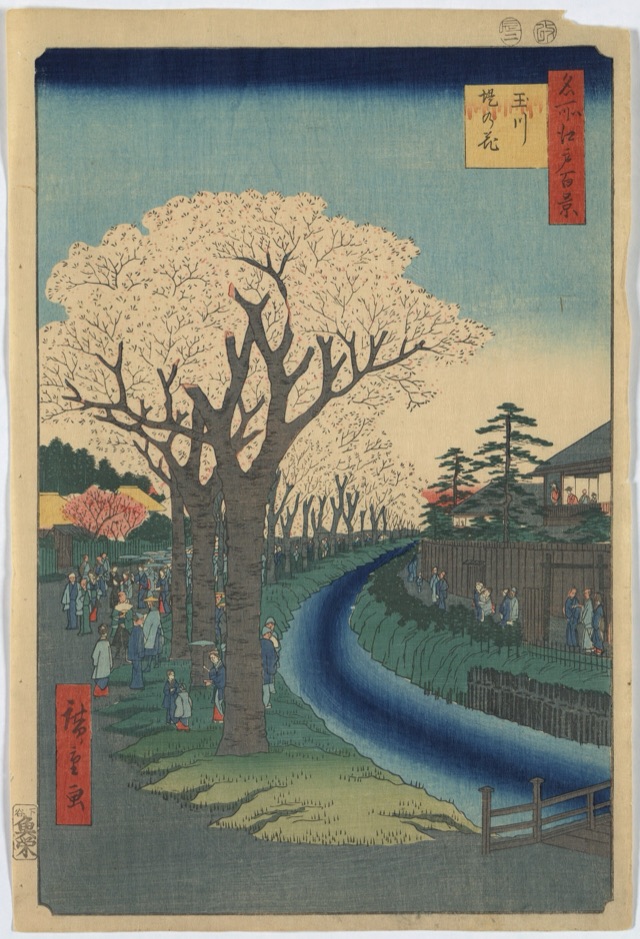 玉川堤の花（歌川廣重）