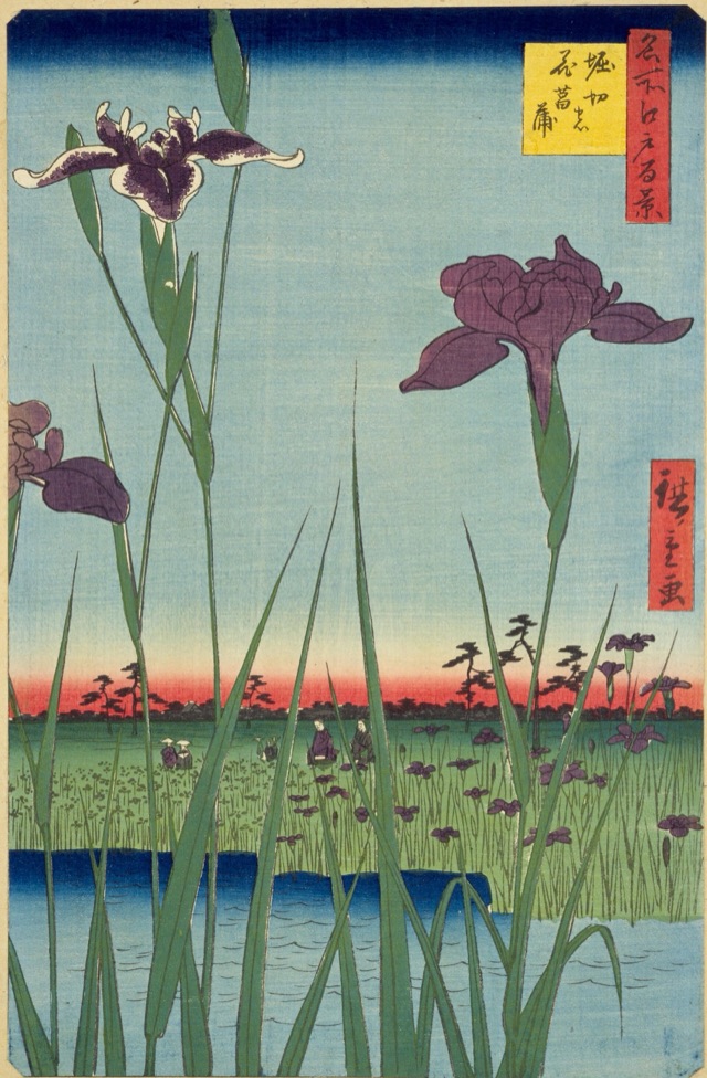 堀切の花菖蒲（歌川廣重）