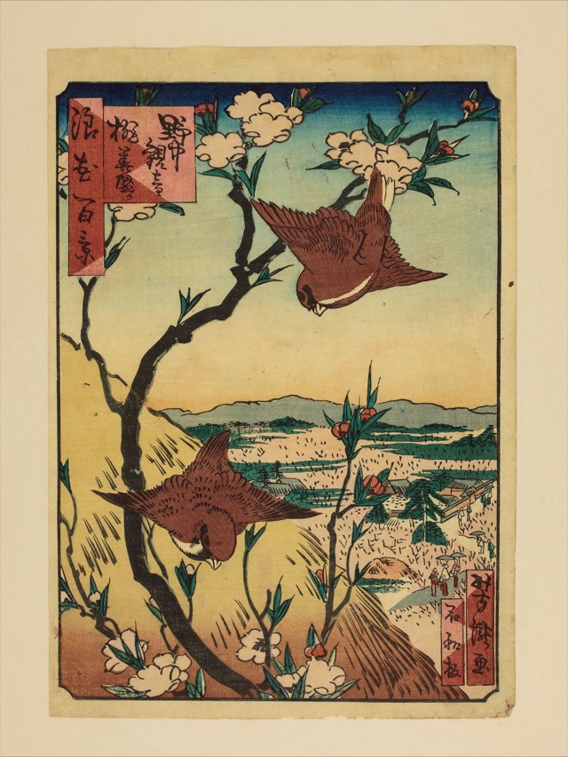 野中観音桃華盛り（里の家芳瀧）